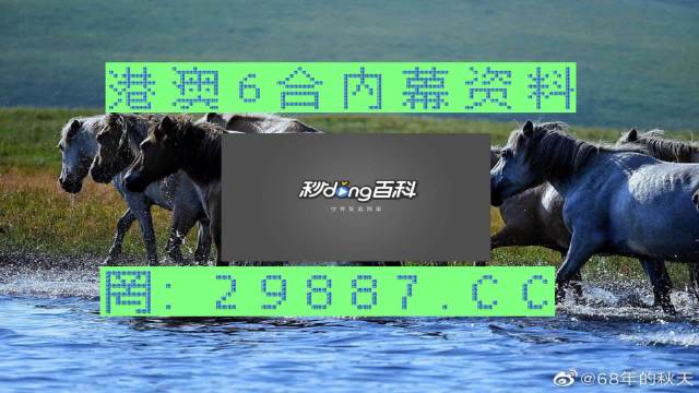 2025澳门买马最准网站,全面释义解释落实