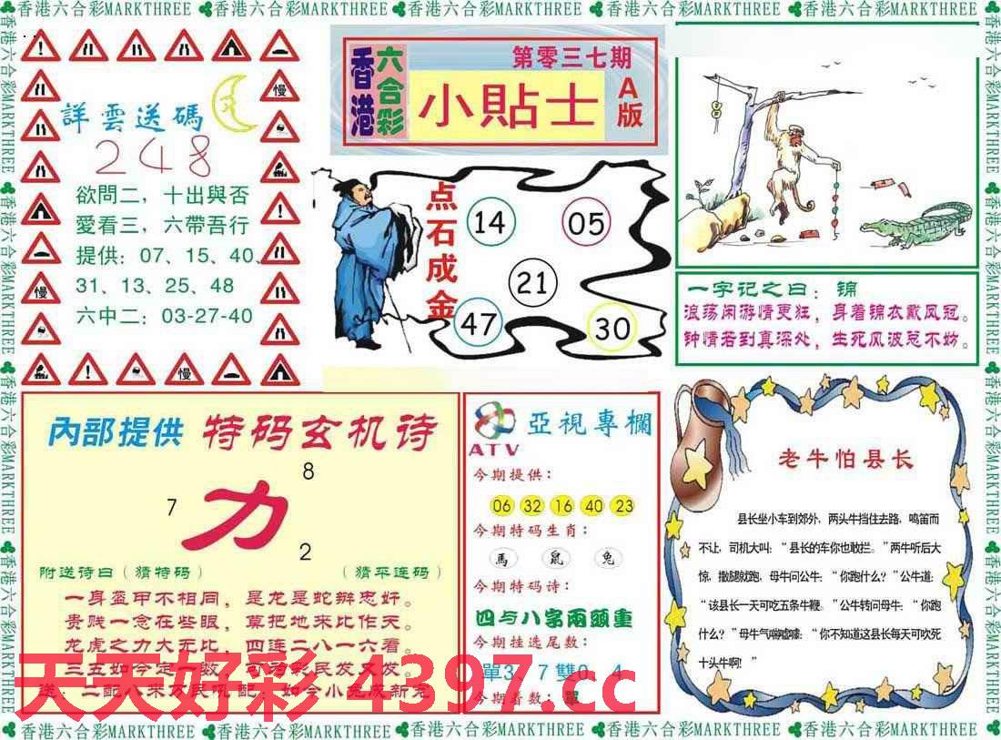 246天天天彩免费资料玄机图,全面释义解释落实