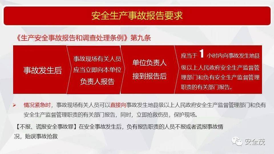 4949澳门精准免费大全2025,全面释义解释落实