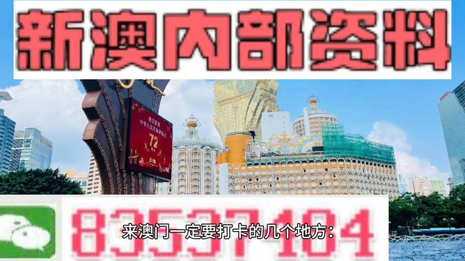 新2025澳门兔费资料,全面释义解释落实