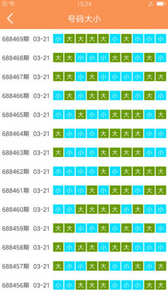 澳门天天开好彩大全65期,全面释义解释落实